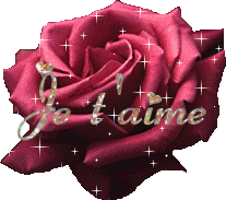 je vous aimes