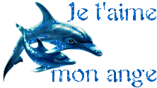 je t aime mon ange