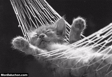 chat
