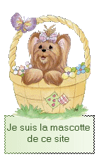 chien