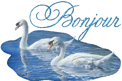 SIGNE