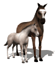 CHEVALE