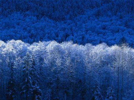 l hiver